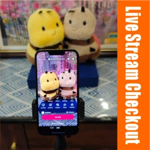 Live Stream Checkout Link for Generic Plush Toys, Miniature Landscape Accessories, and Photo Frames